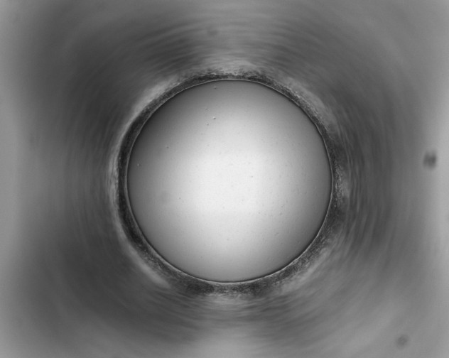 X0000102340630200808151728