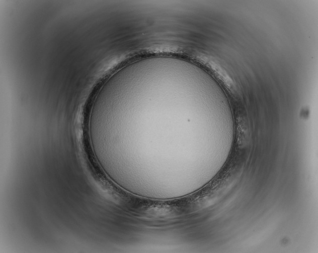 X0000102340631200808151728