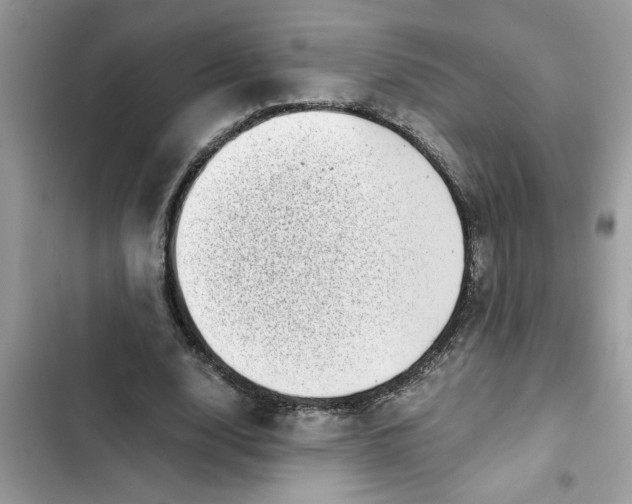 X0000102340632200808151728