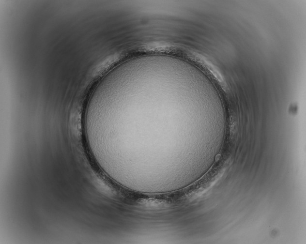 X0000102340633200808151728