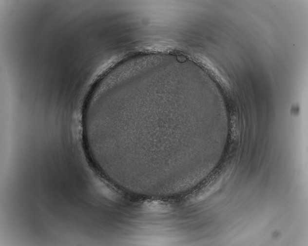 X0000102340634200808151728