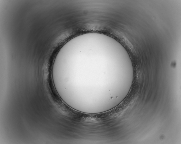 X0000102340635200808151728