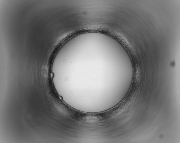 X0000102340636200808151728