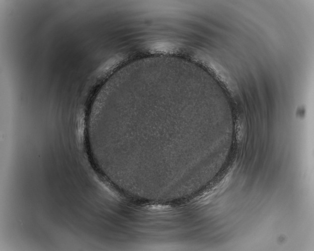 X0000102340637200808151729