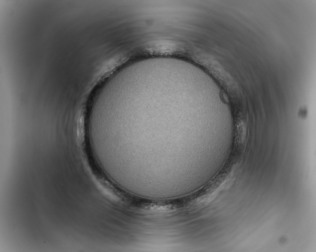 X0000102340638200808151729