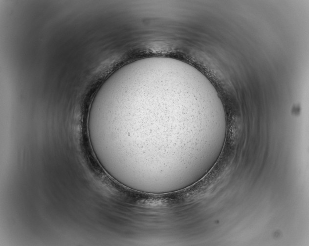 X0000102340639200808151729