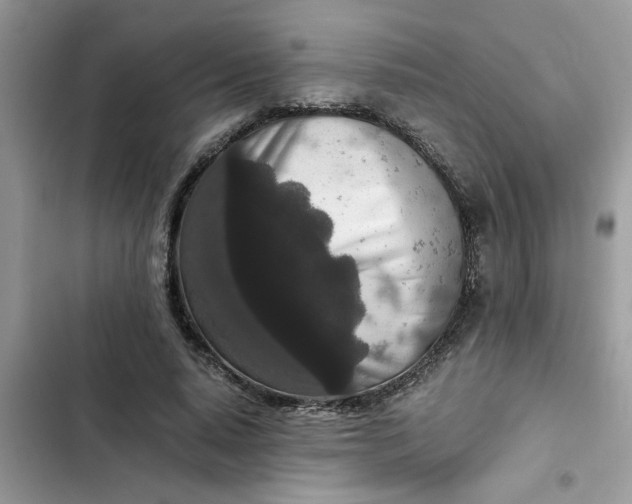 X0000102340640200808151729