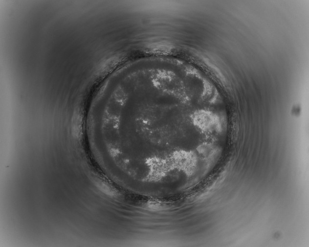 X0000102340641200808151729