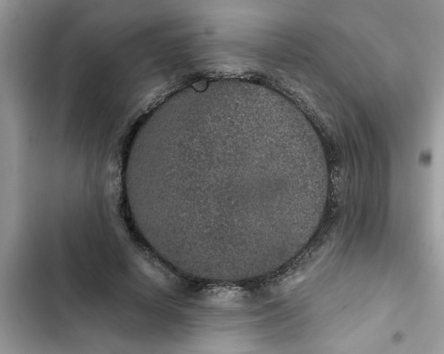 X0000102340642200808151729