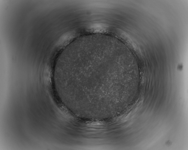 X0000102340643200808151729