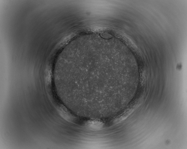 X0000102340644200808151729