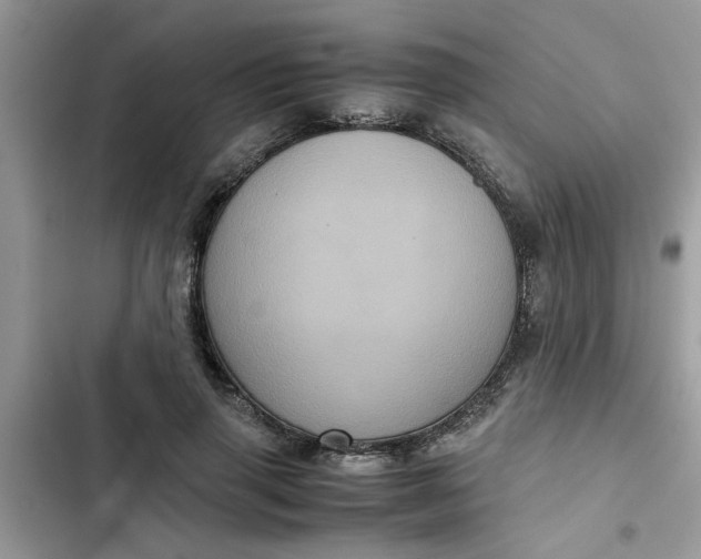 X0000102340645200808151729