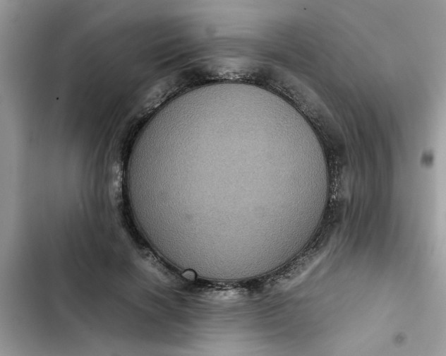 X0000102340646200808151729