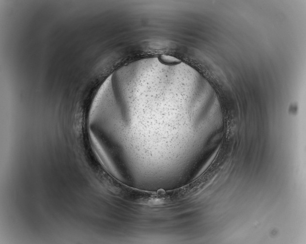 X0000102340647200808151729