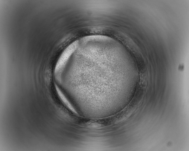 X0000102340648200808151729