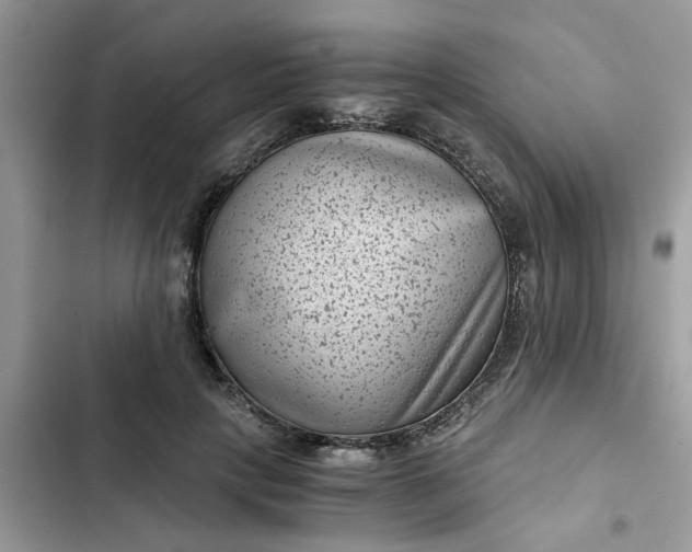 X0000102340649200808151729