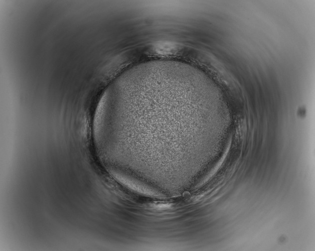 X0000102340651200808151729