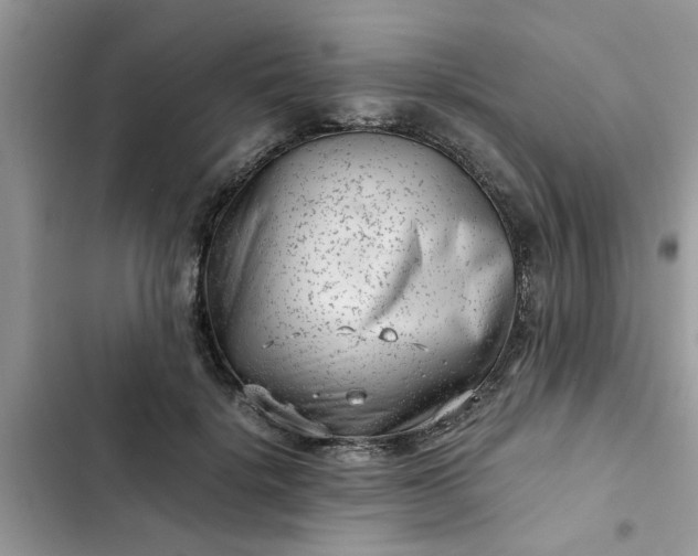 X0000102340652200808151729