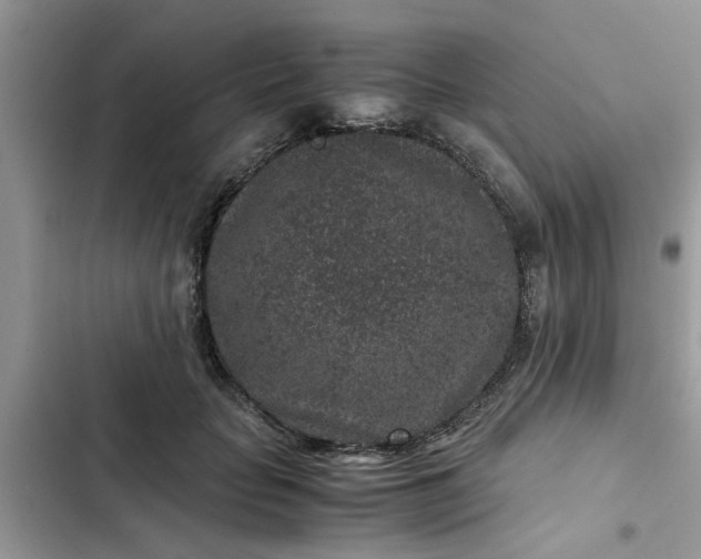 X0000102340653200808151729