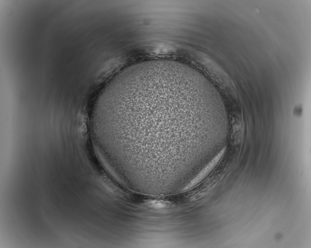 X0000102340654200808151729