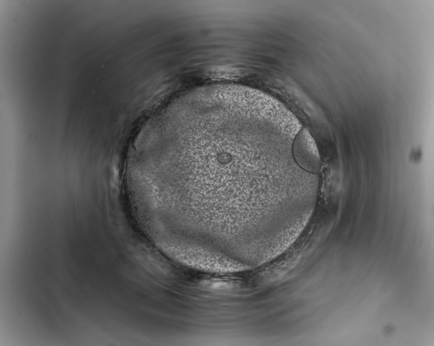 X0000102340655200808151729