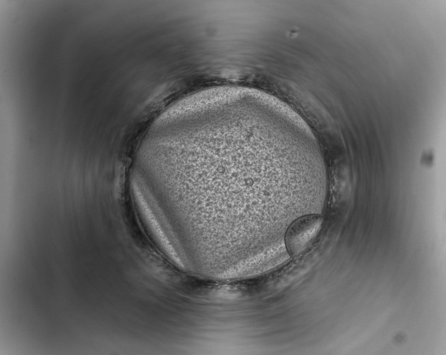 X0000102340656200808151729