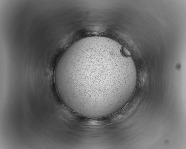 X0000102340657200808151729