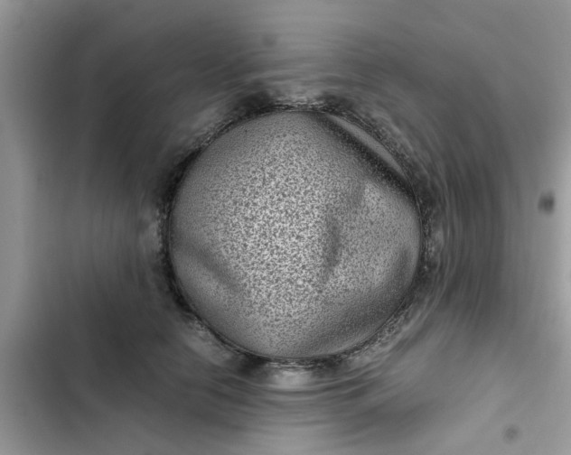 X0000102340658200808151729