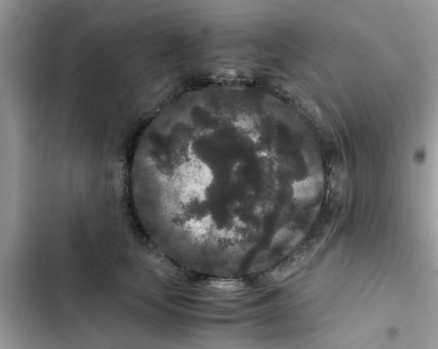 X0000102340659200808151729