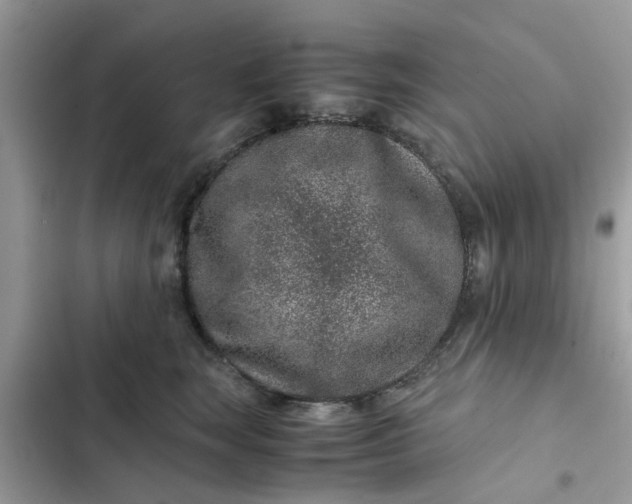 X0000102340663200808151729