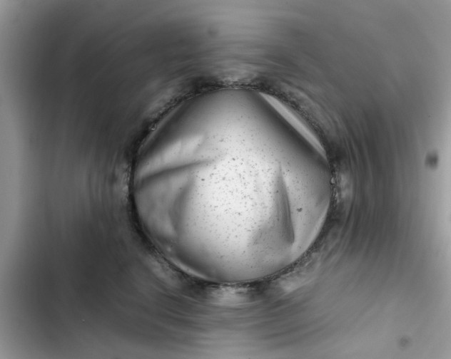 X0000102340664200808151729