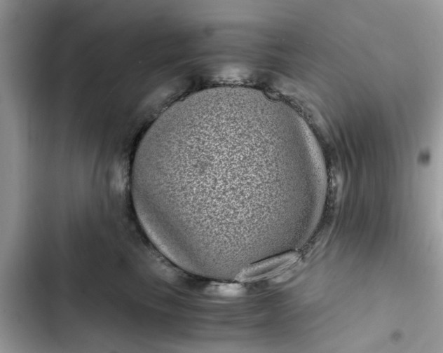 X0000102340665200808151729