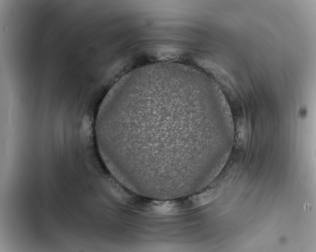 X0000102340667200808151729