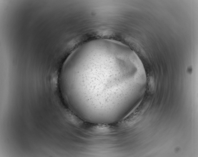 X0000102340668200808151729