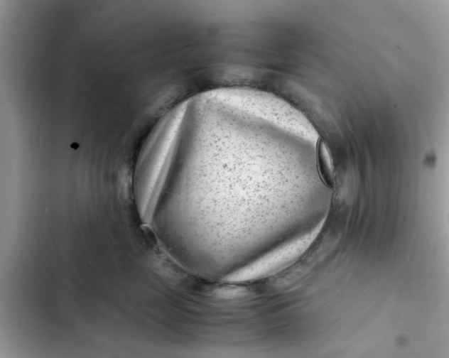 X0000102340669200808151729