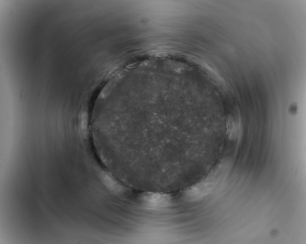 X0000102340670200808151729