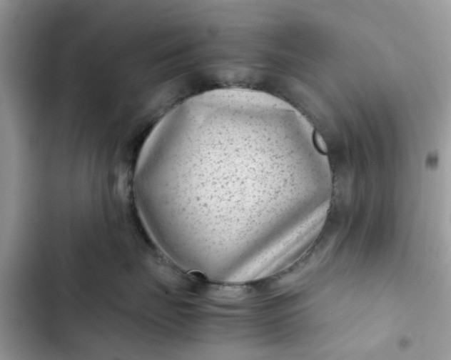 X0000102340671200808151729