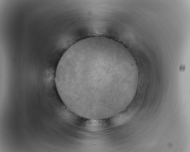 X0000102340672200808151729