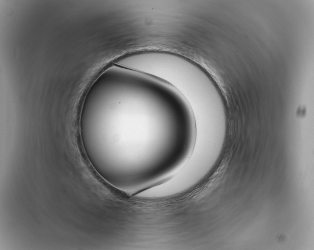 X0000102340673200808151728