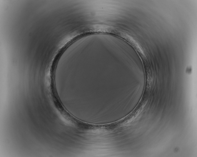 X0000102340674200808151728