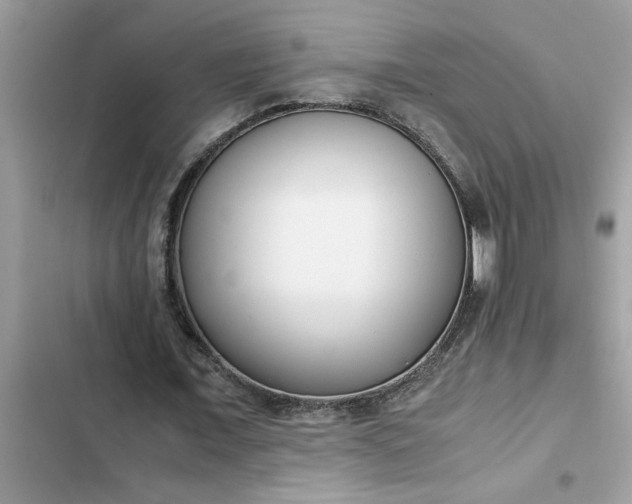 X0000102340675200808151728