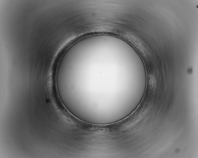 X0000102340676200808151728