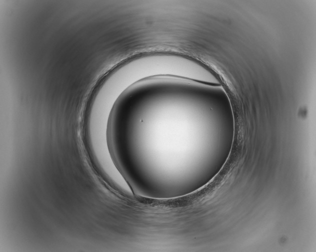 X0000102340677200808151728