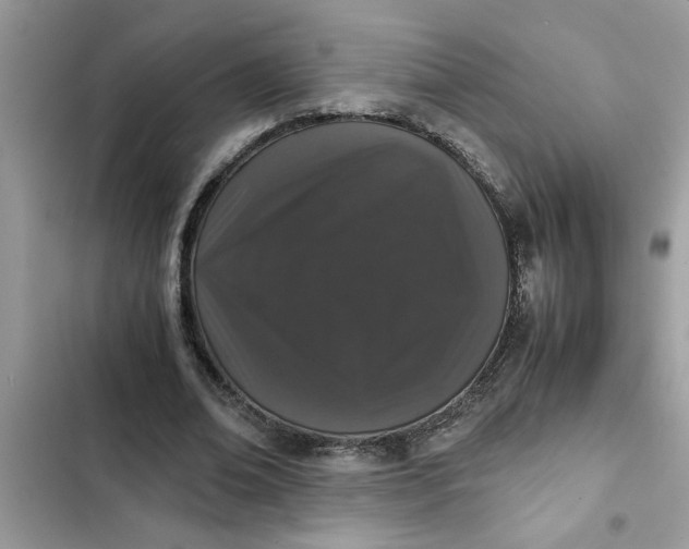 X0000102340678200808151728