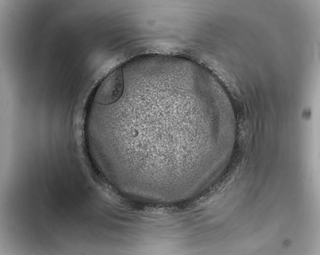 X0000102340679200808151728