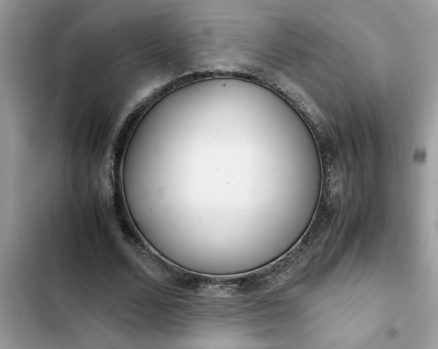 X0000102340680200808151728