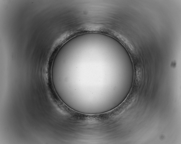 X0000102340682200808151728