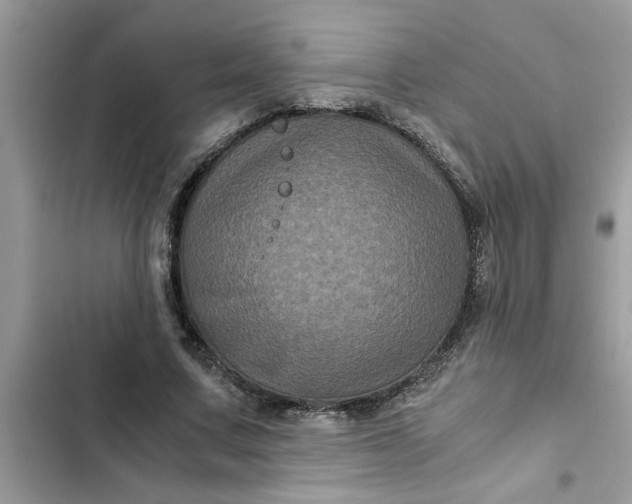 X0000102340683200808151728