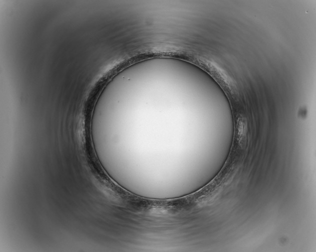 X0000102340684200808151728