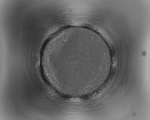 X0000102340685200808151728